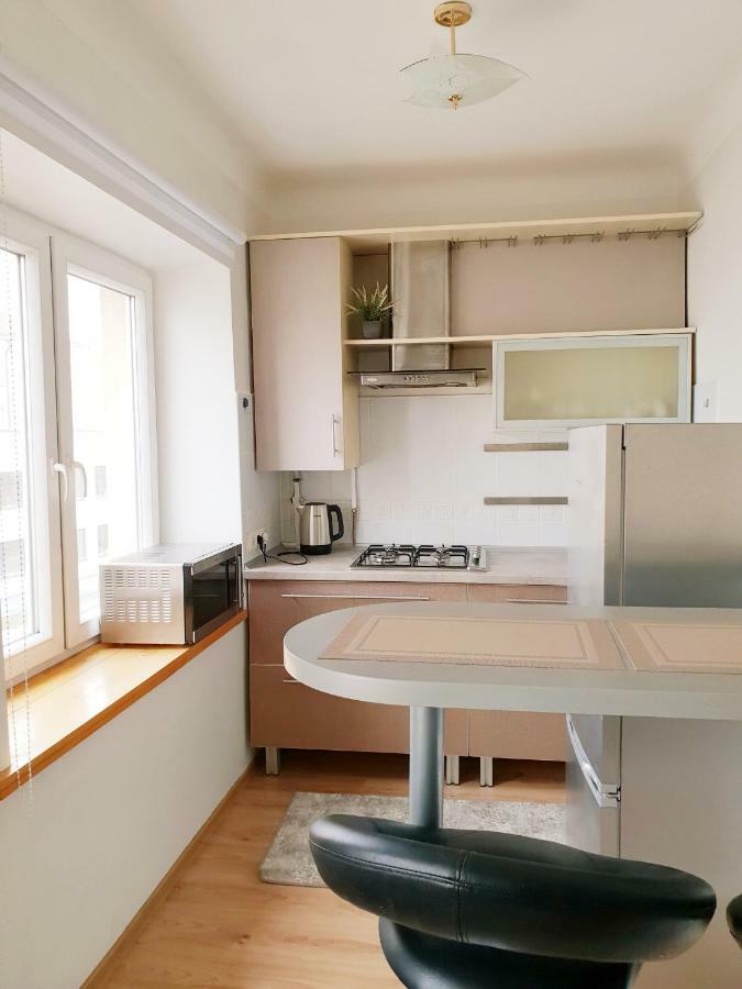 Cozy One Bedroom Apartment In Old Town Vilnius Dış mekan fotoğraf